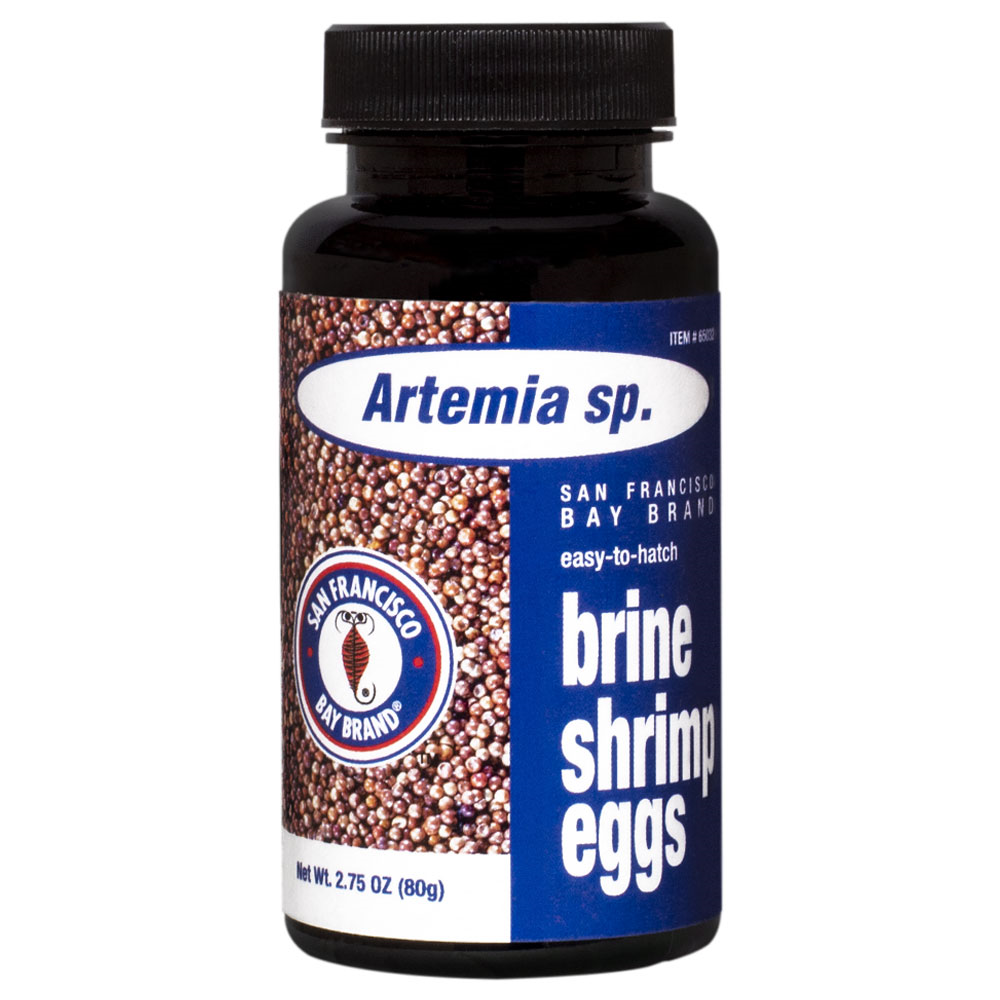 Brine Shrimp Eggs - SFB