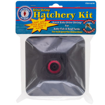 Brine Shrimp Hatchery Kit