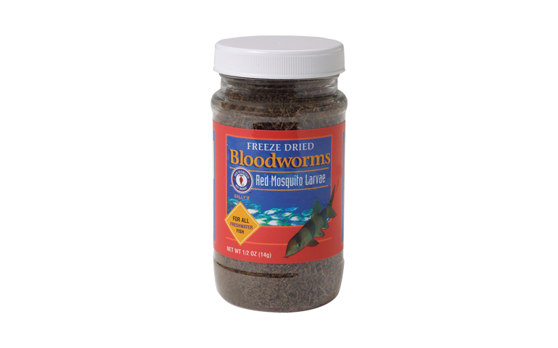 SFB Freeze-dried Bloodworms