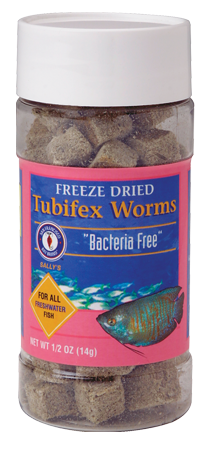 Freeze-dried Tubifex Worms - SFB