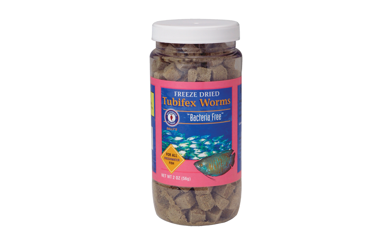 Freeze-dried Tubifex Worms - SFB