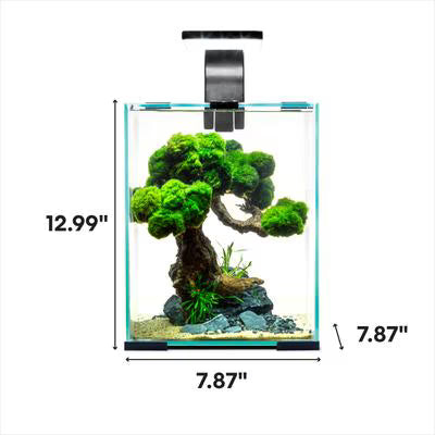 AQUAEL Shrimp Set 10 Day & Night