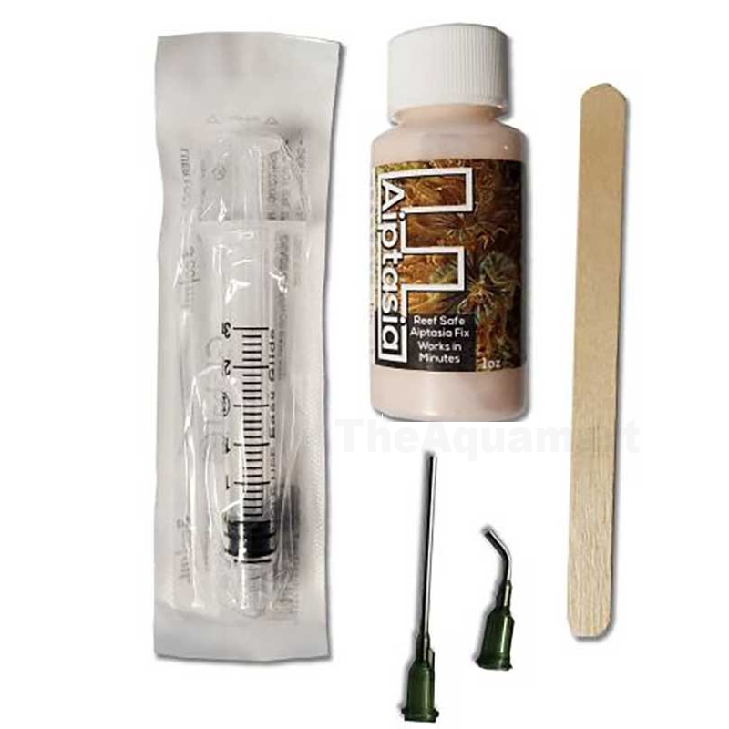 Frank’s Tanks F-Aiptasia